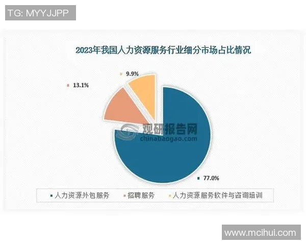 代怀博的崛起与未来发展趋势分析及其在行业中的影响力探讨